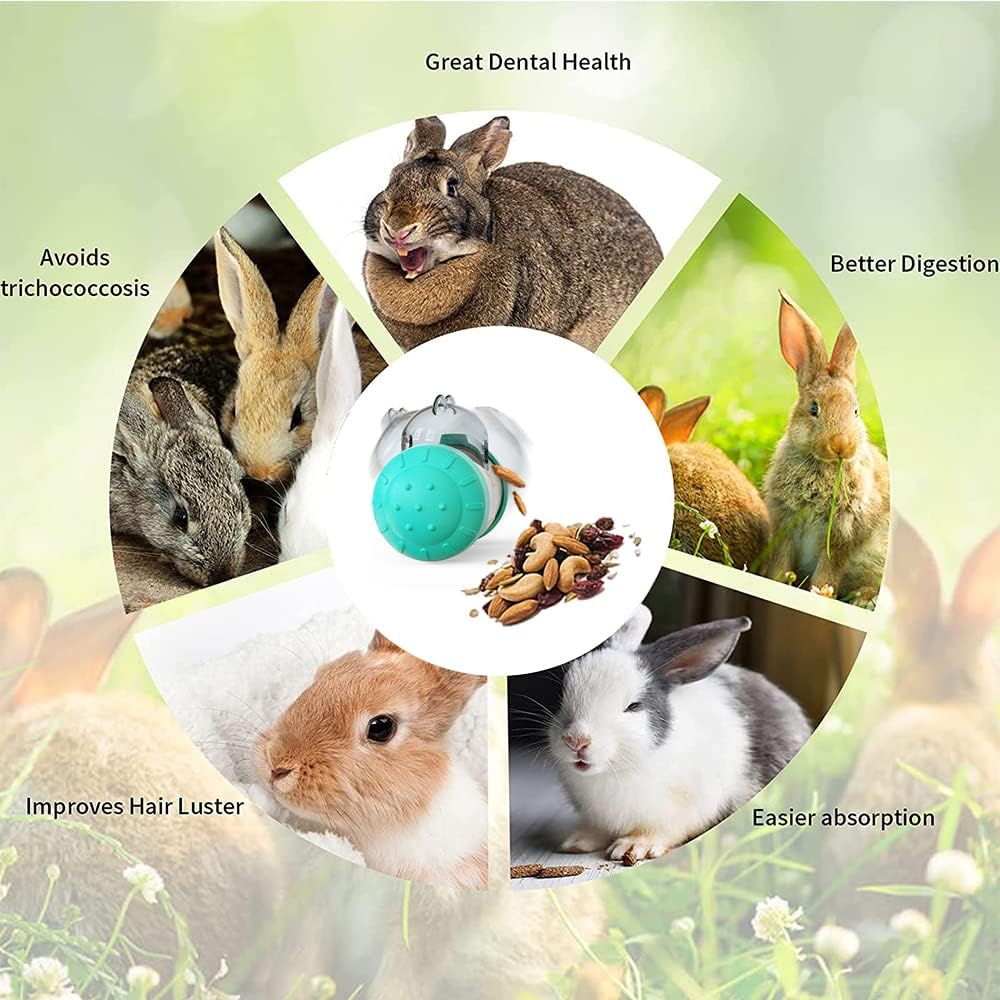 Interactive Cat & Dog Treat Dispensing Toy