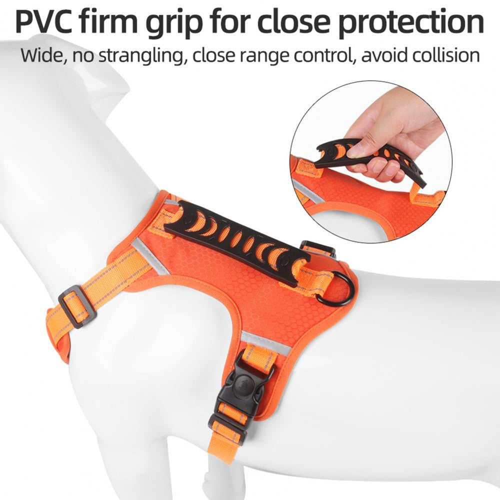 Nylon No-Pull Dog Harness for Small & Large Dogs