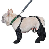 Waterproof Dog Shoes