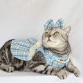 Pet Skirt Dress