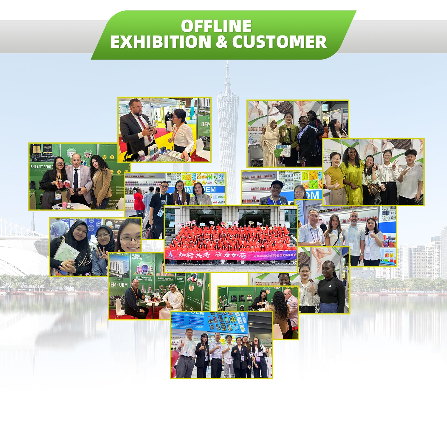 Zinc for Acne Gummies – GMP Certified Skin Care Support with Custom Branding