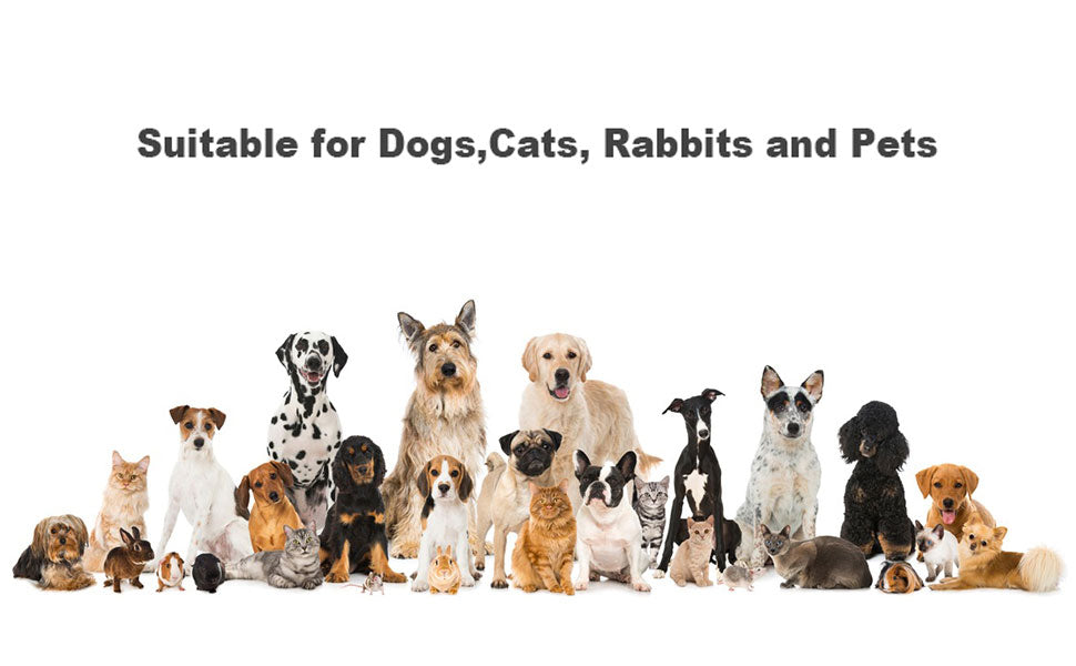 2-in-1 Portable Dog Water Bottle & Food Container