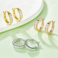 Luxury Moissanite Stud Earrings