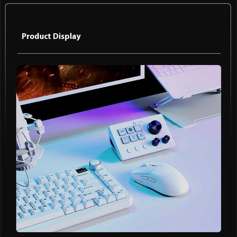 Live Assistant Audio Control Button