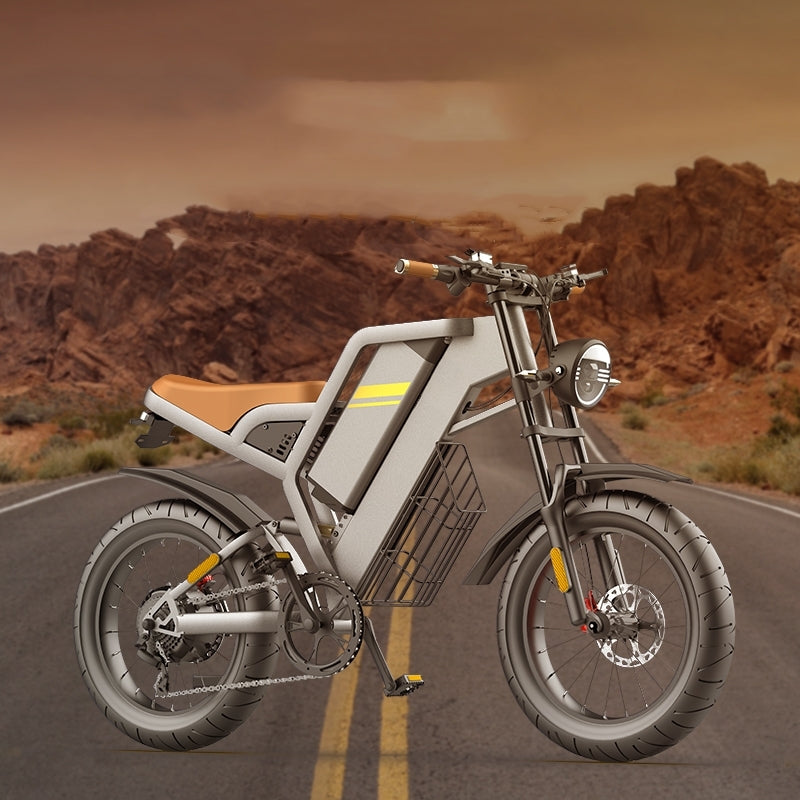 Electric Bicycle