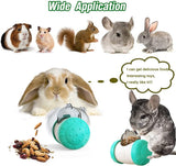 Interactive Cat & Dog Treat Dispensing Toy
