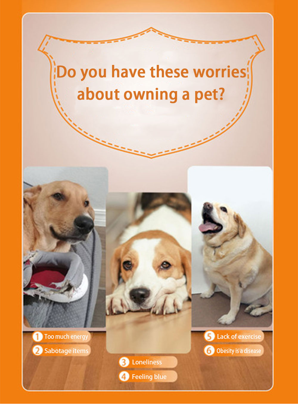 Automatic Dog Ball Launcher