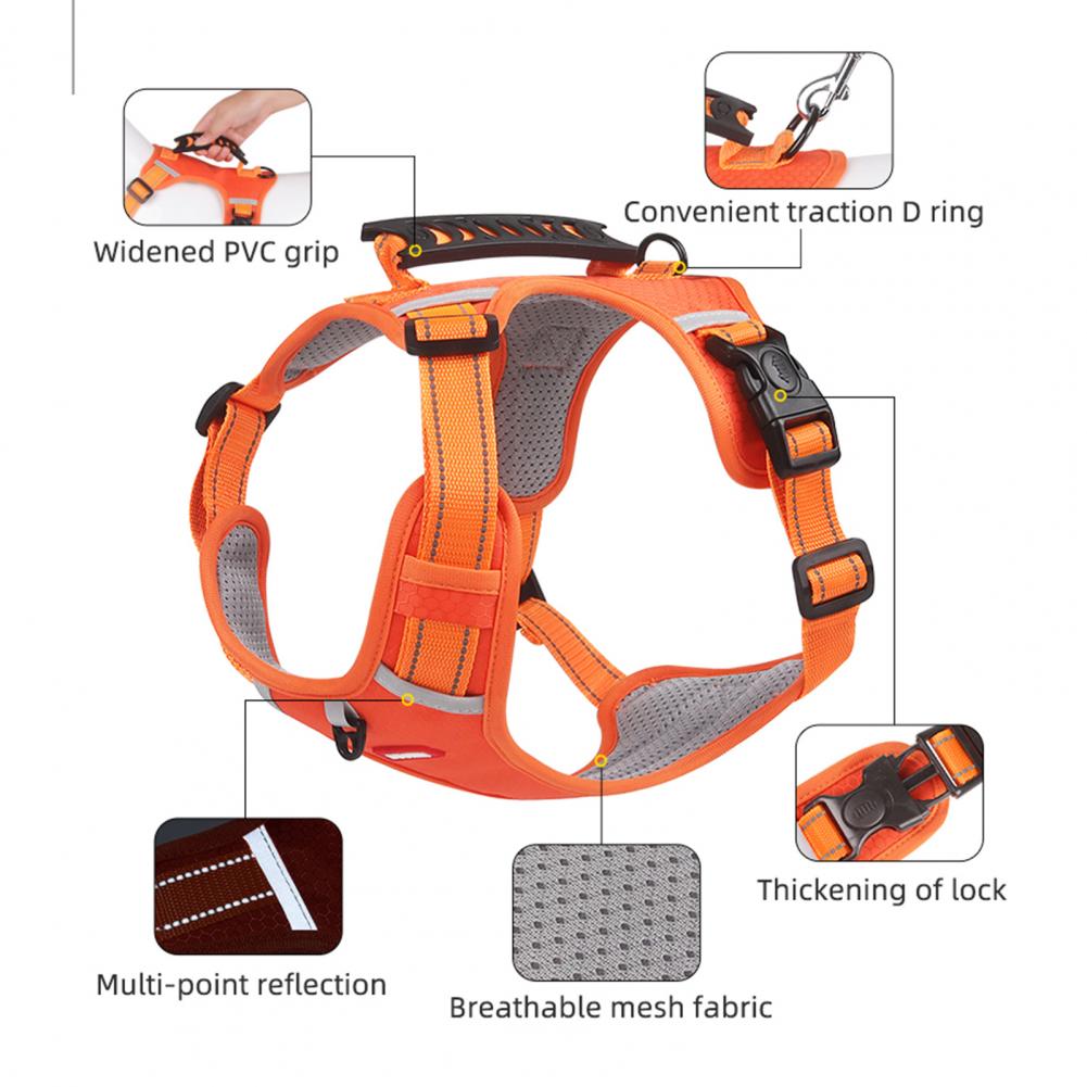 Nylon No-Pull Dog Harness for Small & Large Dogs