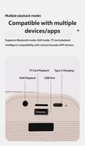 K12 Portable KTV Bluetooth Speaker Set
