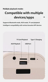 K12 Portable KTV Bluetooth Speaker Set