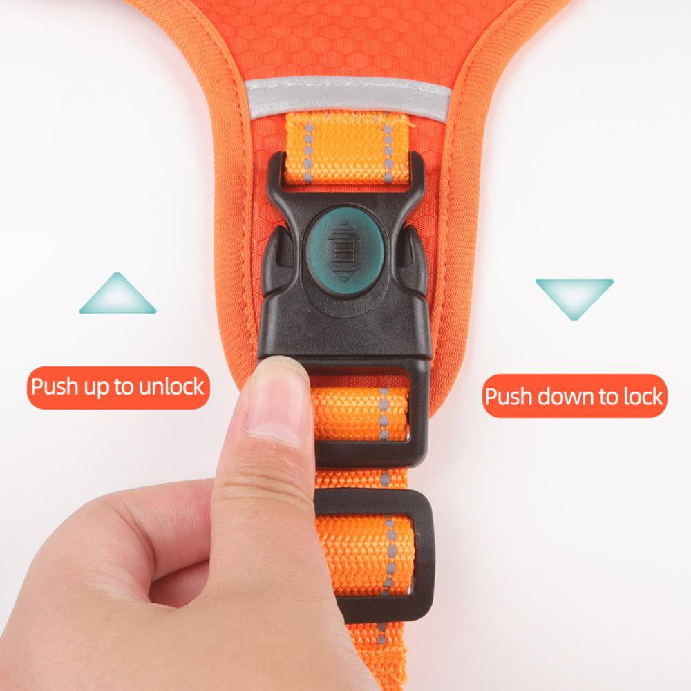 Nylon No-Pull Dog Harness for Small & Large Dogs