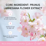 Fruit‑Flavor Warm Lipstick
