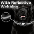 Anti-lost Pet Dog Collar – Smart GPS Tracker for Dogs & Cats