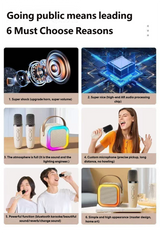 K12 Portable KTV Bluetooth Speaker Set