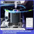 Perfume Starry Sky Car Charger
