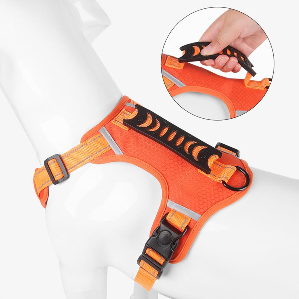 Nylon No-Pull Dog Harness for Small & Large Dogs