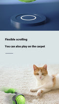 Smart Cat Toy – Auto Electric Rolling Ball