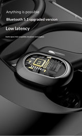 VV2 Bluetooth Earbuds