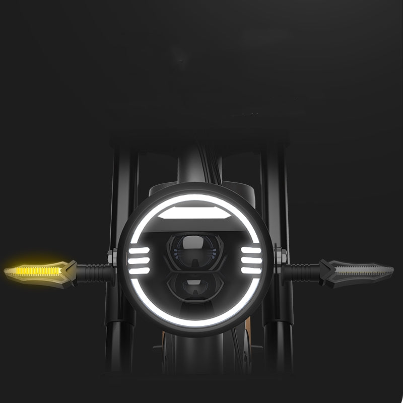 Electric Bicycle