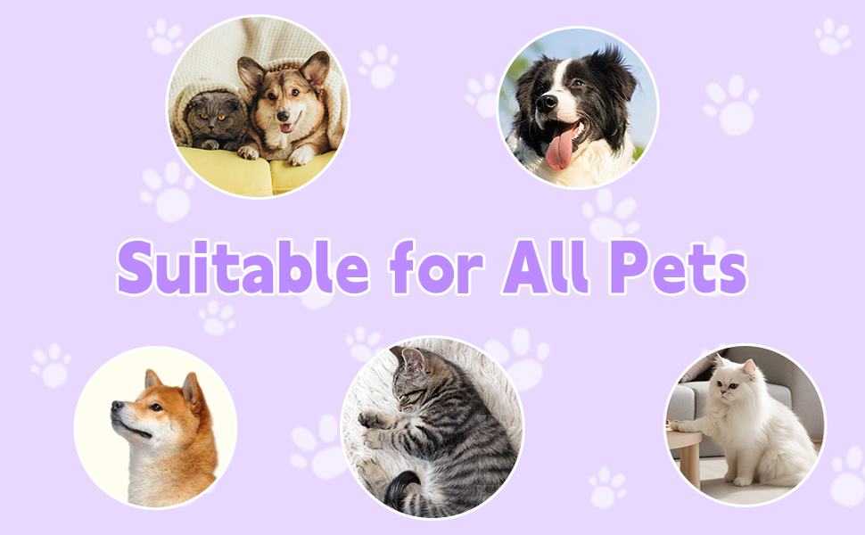 3-in-1 Cat & Dog Steam Brush