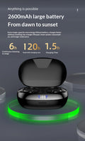 VV2 Bluetooth Earbuds