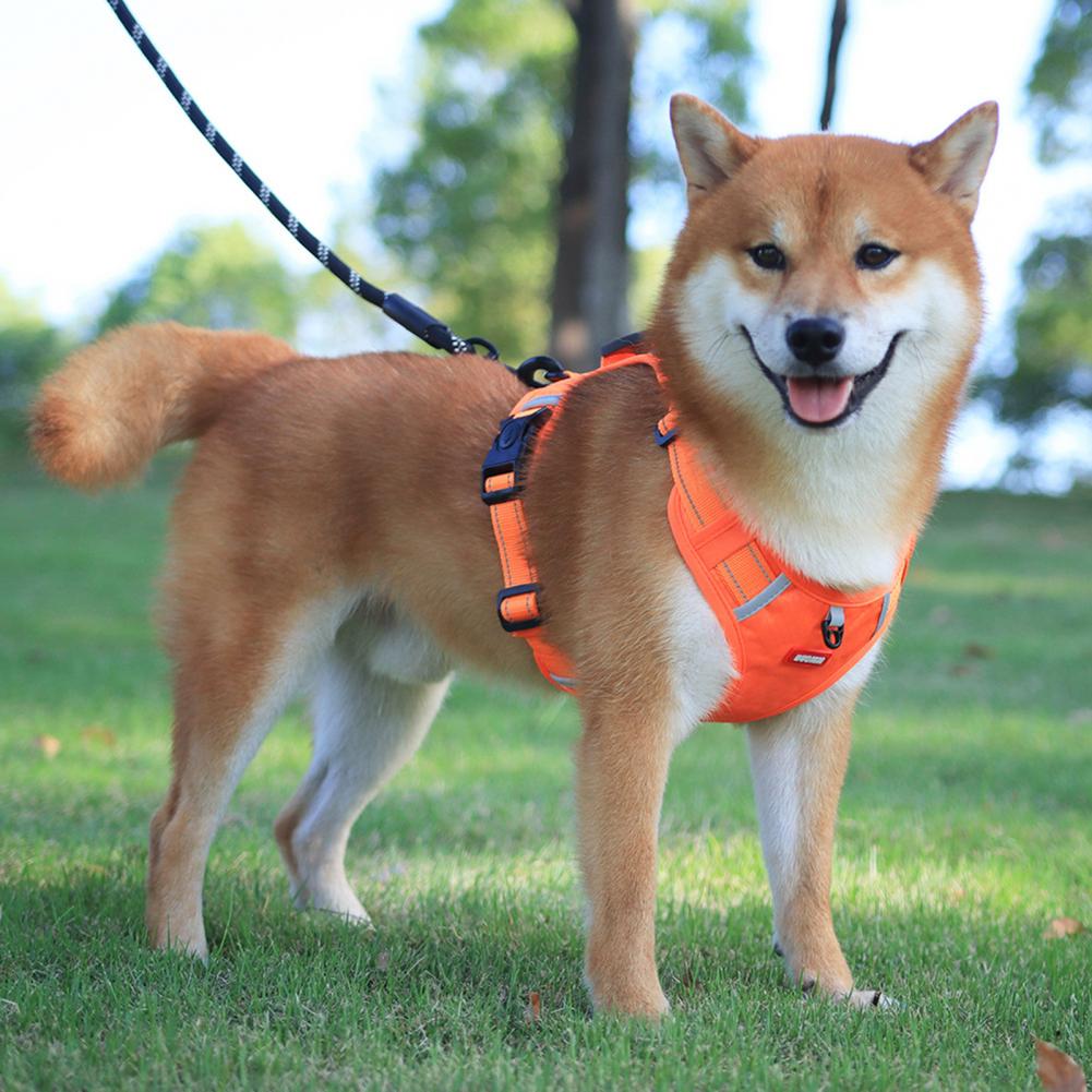 Nylon No-Pull Dog Harness for Small & Large Dogs