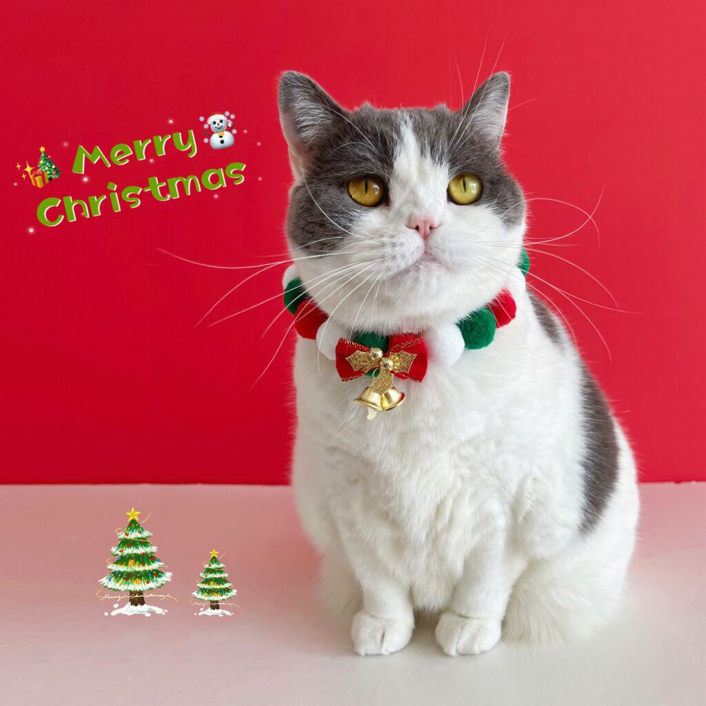 Christmas Pet Collar