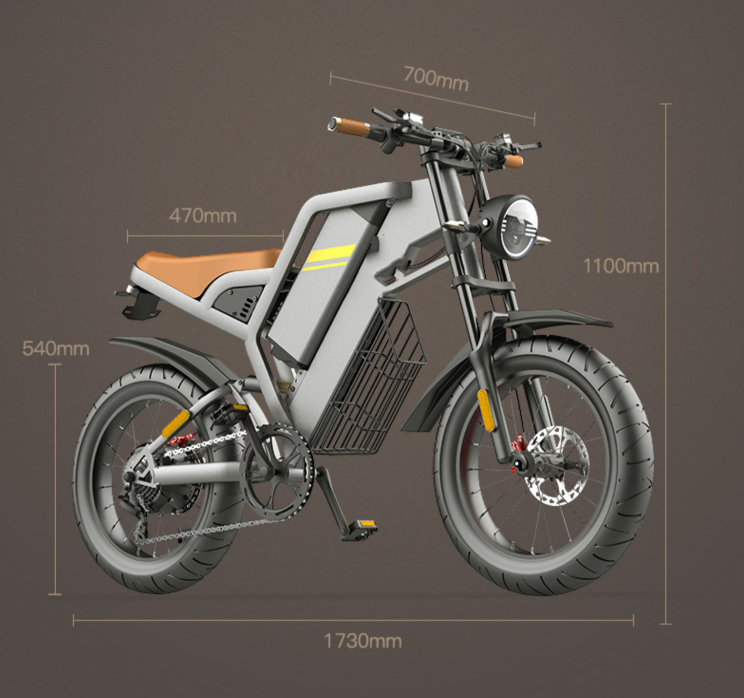 Electric Bicycle