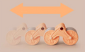 2-in-1 Belly Wheel