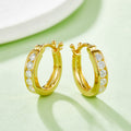 Luxury Moissanite Stud Earrings