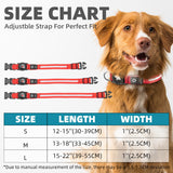 Waterproof Pet Collar – Suitable for Locator Devices