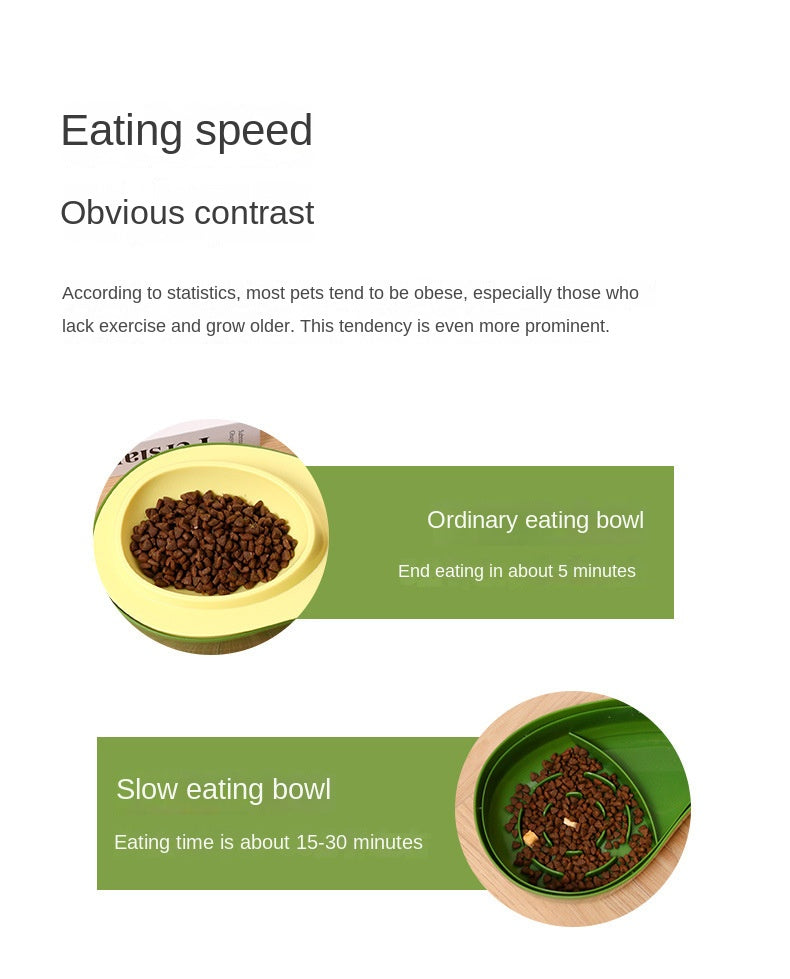 Automatic Pet Water Bottle & Feeder