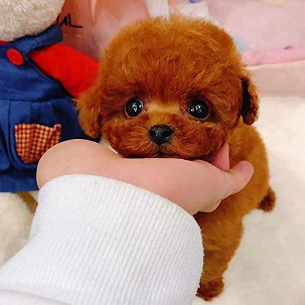 Children's simulation electric dog