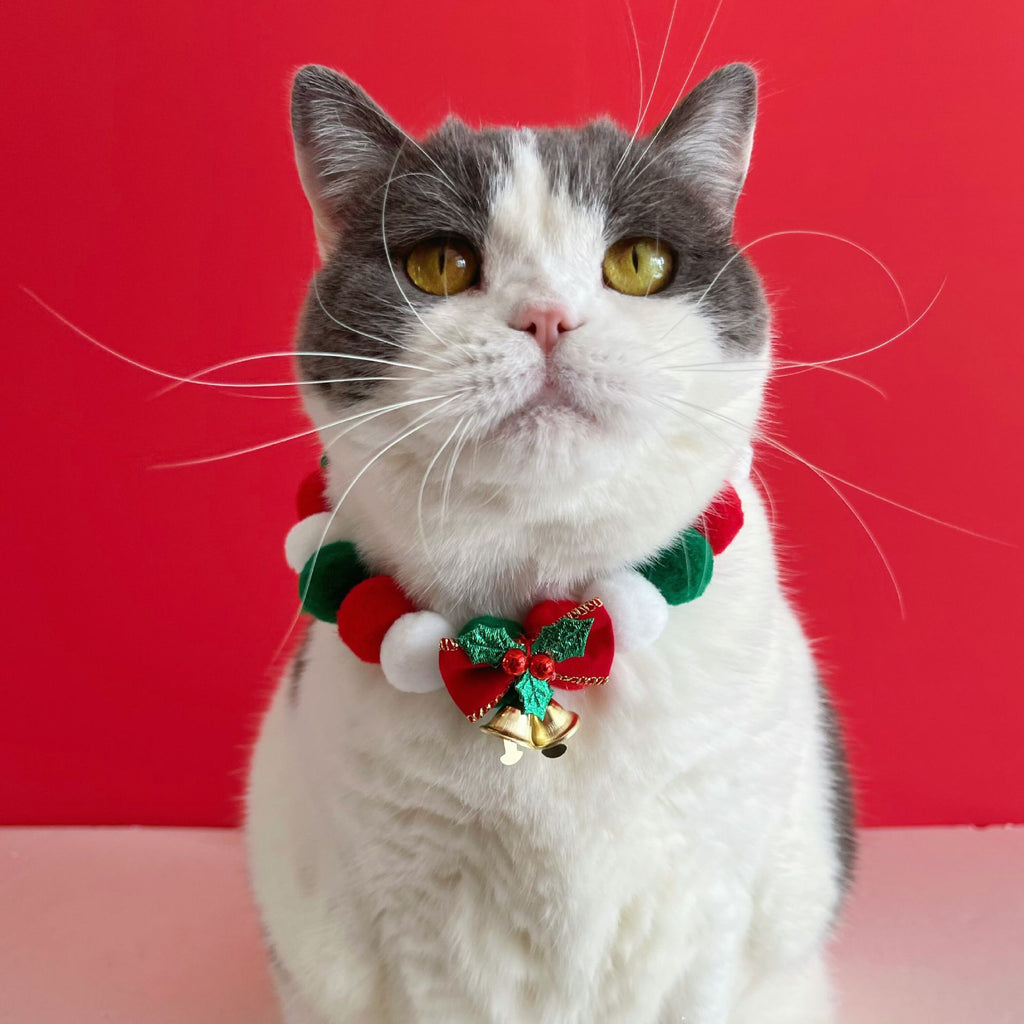Christmas Pet Collar