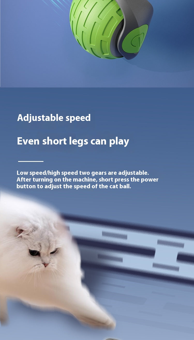Smart Cat Toy – Auto Electric Rolling Ball