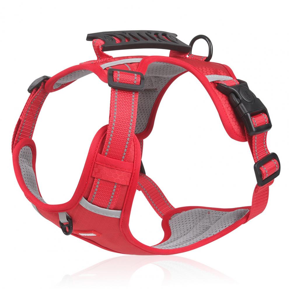 Nylon No-Pull Dog Harness for Small & Large Dogs