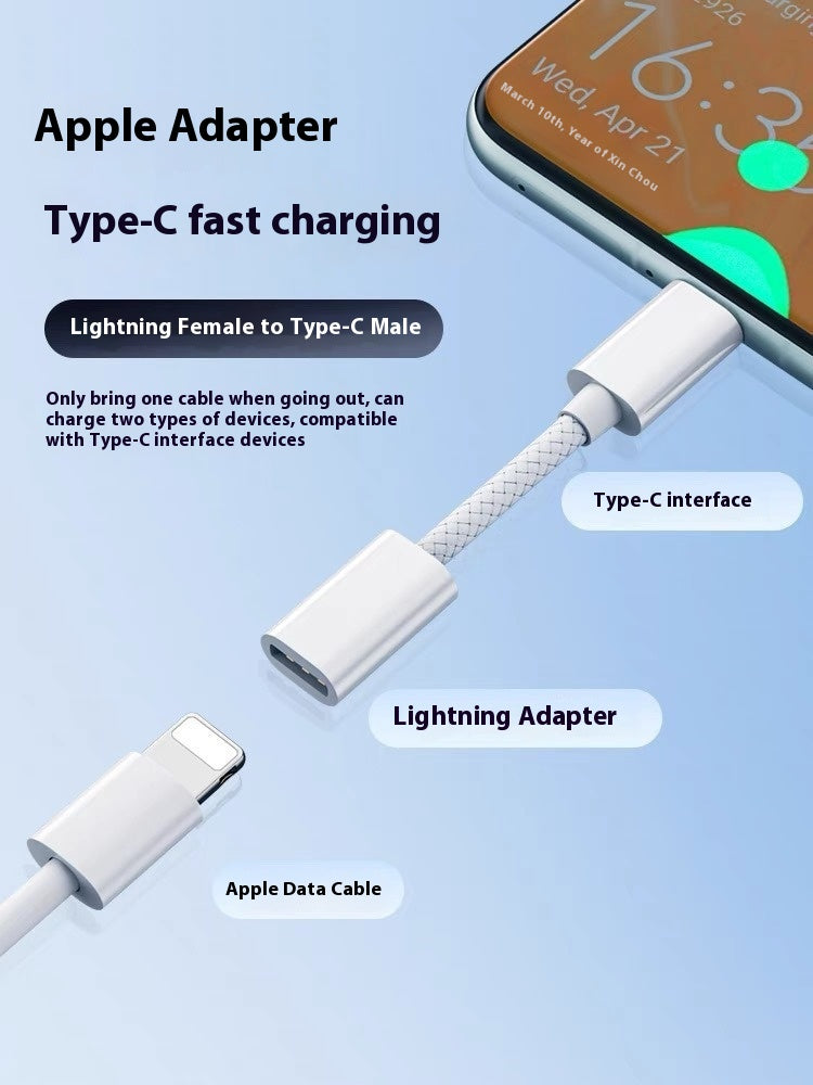 Fast Charge Converter Cable