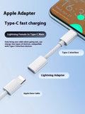 Fast Charge Converter Cable