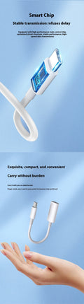 Fast Charge Converter Cable