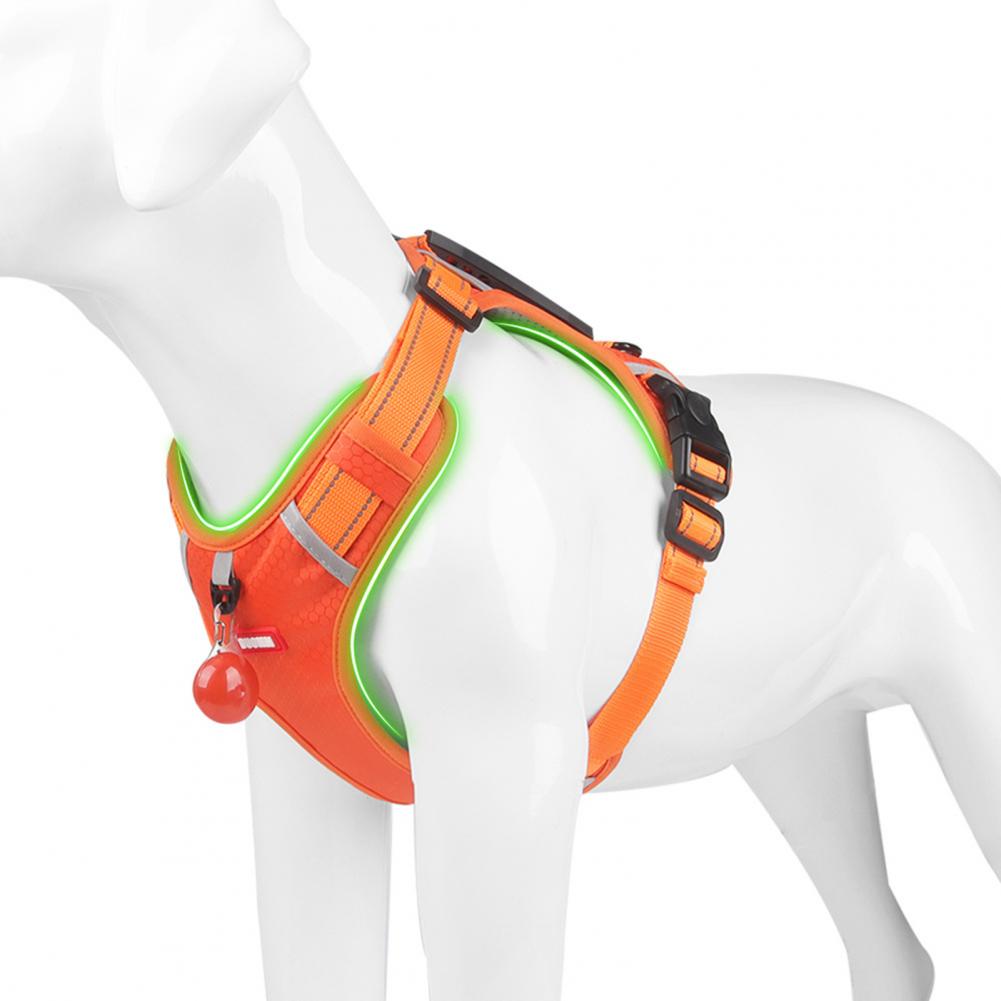 Nylon No-Pull Dog Harness for Small & Large Dogs