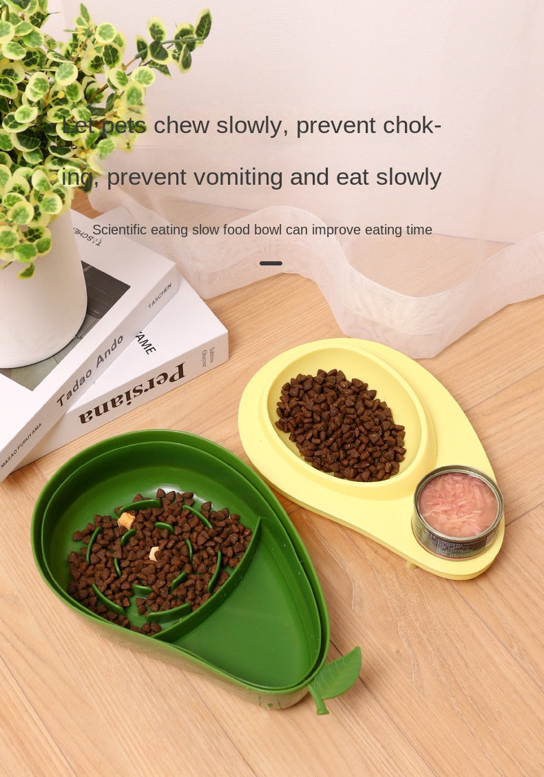 Automatic Pet Water Bottle & Feeder