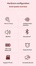 K12 Portable KTV Bluetooth Speaker Set